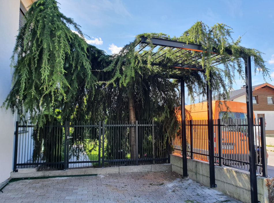 Carport mit Baumstützung und Zaun mit Tor